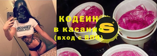прущий лед Алзамай