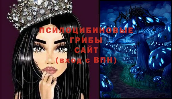 не бодяженный Алексин