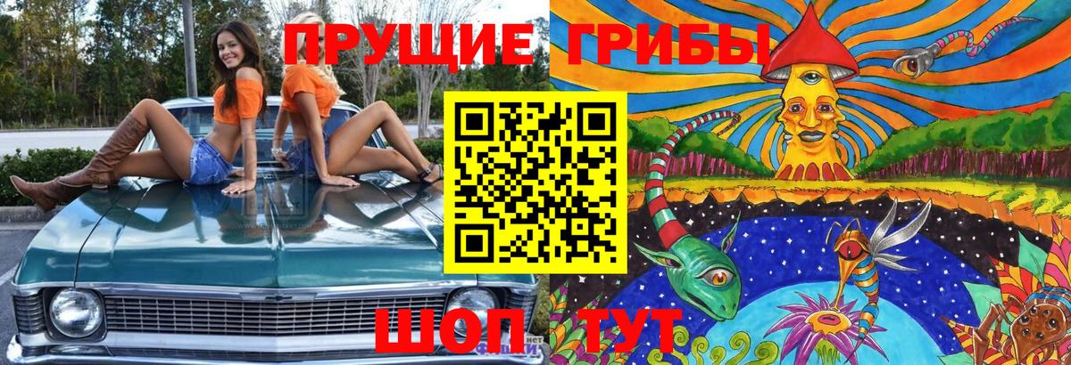 Галлюциногенные грибы прущие грибы Мыски