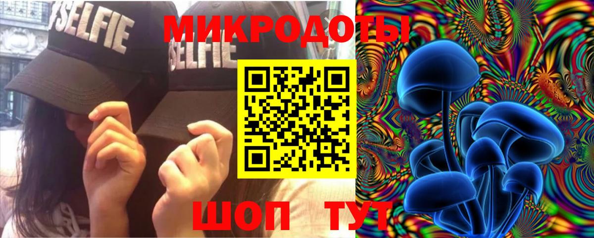 Мыски  Псилоцибиновые грибы Psilocybine cubensis  Вход с VPN  Псилоцибиновые грибы ЛСД 